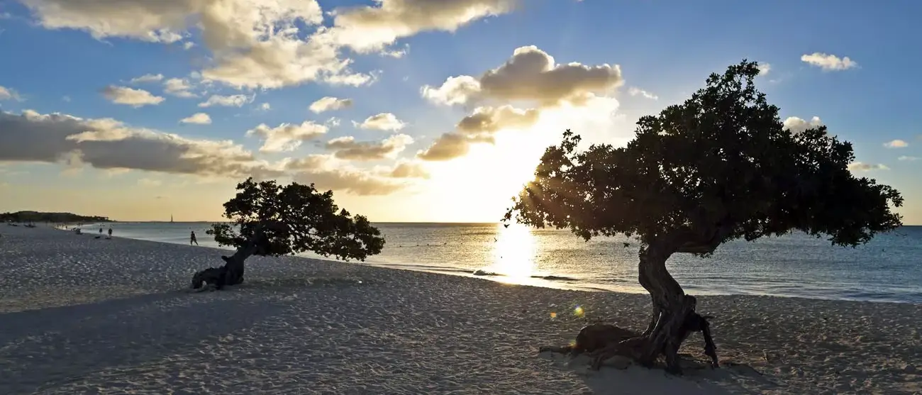 Aruba