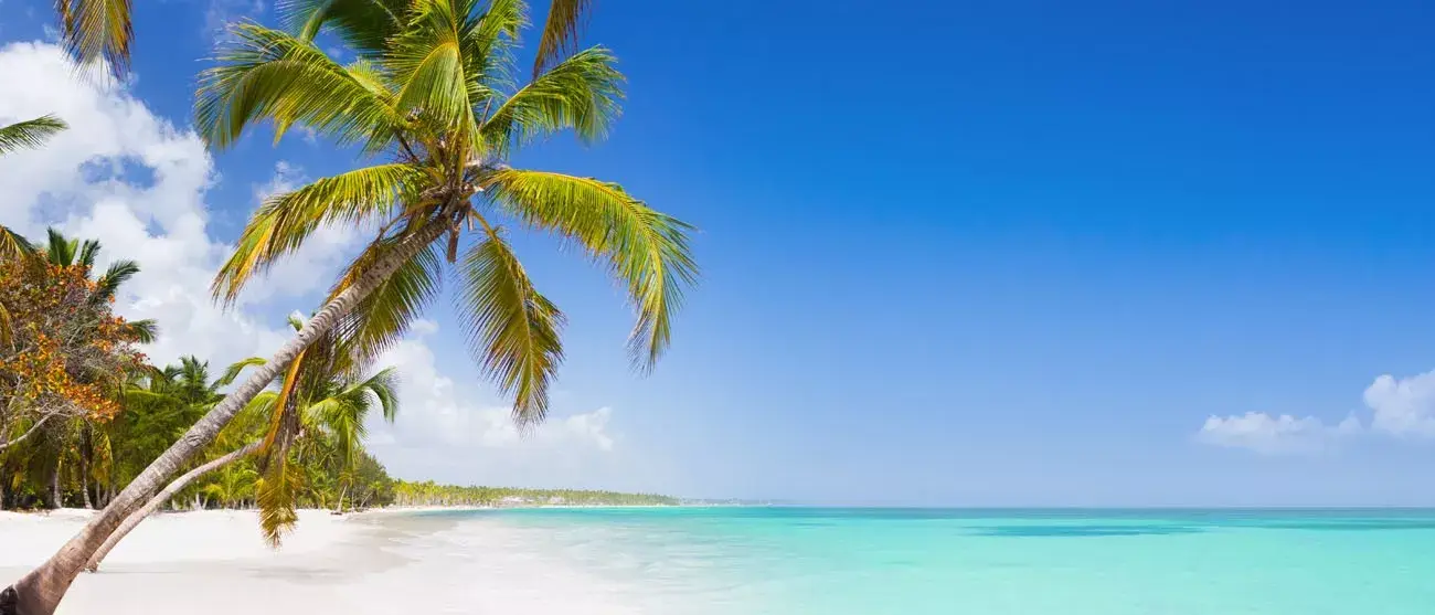 Tropical beach as a wild nature scenery in Punta Cana, Dominican Republic