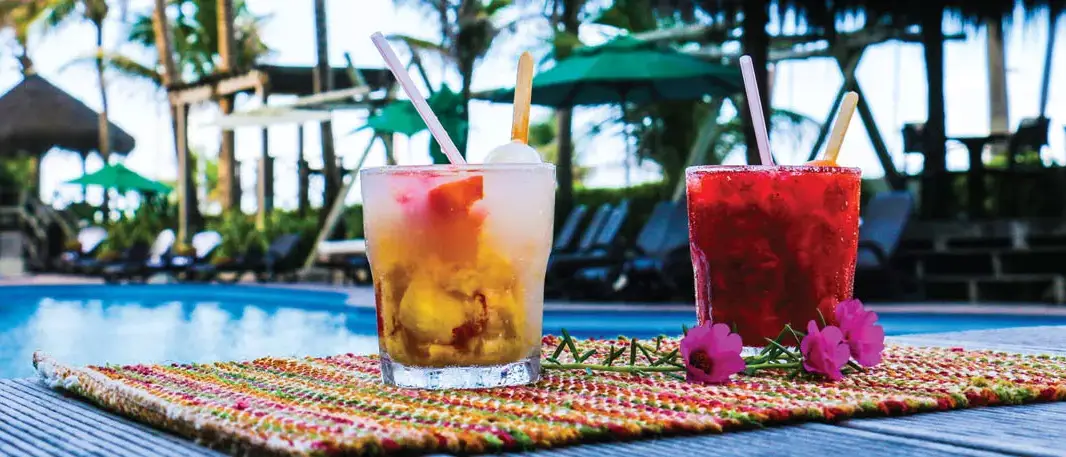Drinks -  Ritz Lagoa da Anta Hotel