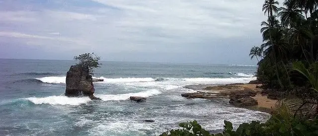 gandoca manzan illo - Bocas del Toro