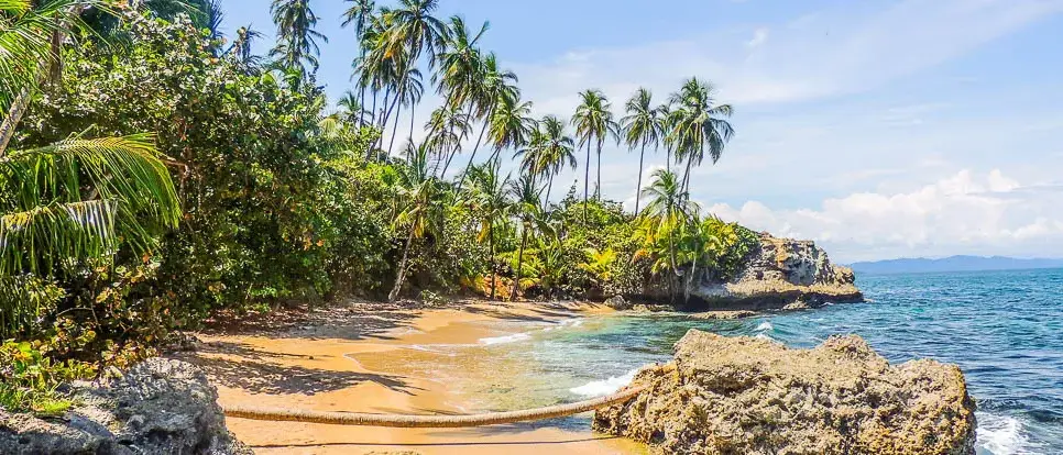 gandoca manzan illo - Bocas del Toro