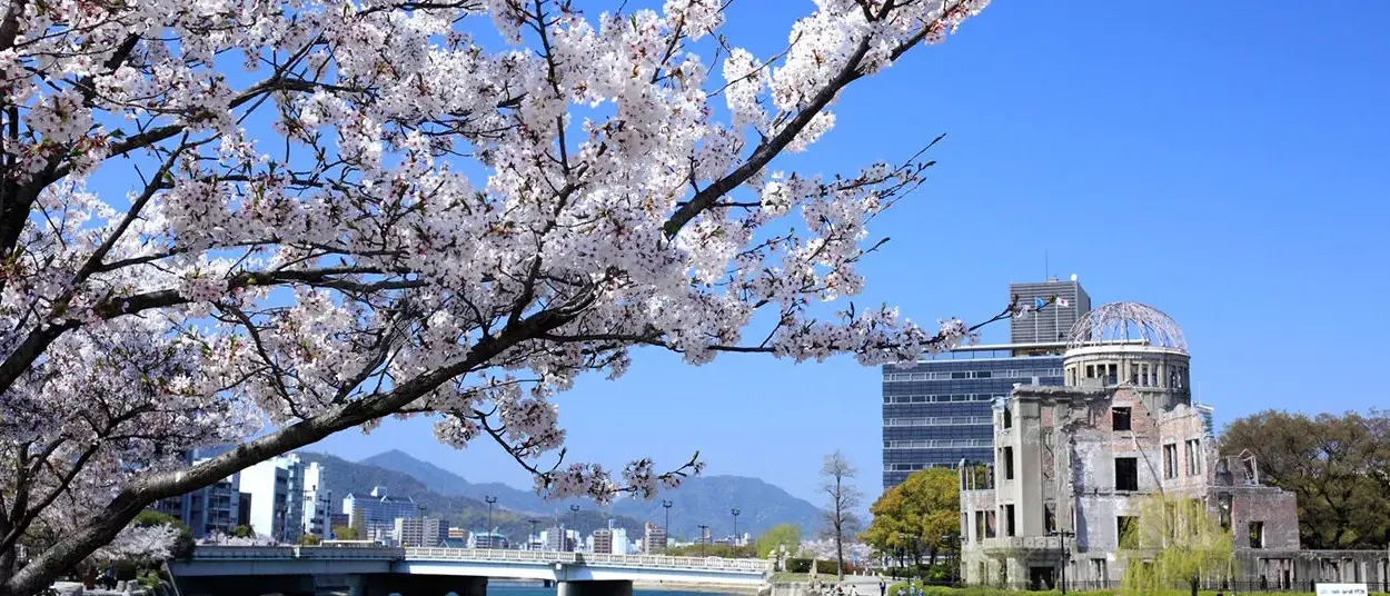 Cerejeiras em Hiroshima