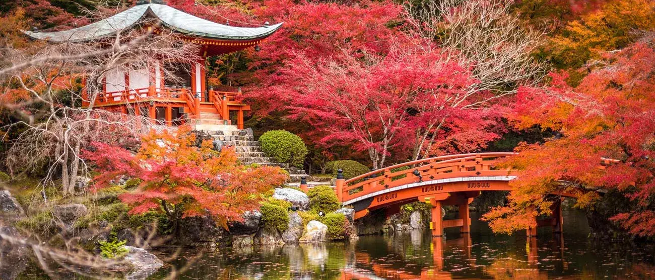 Os Jardins de Kioto