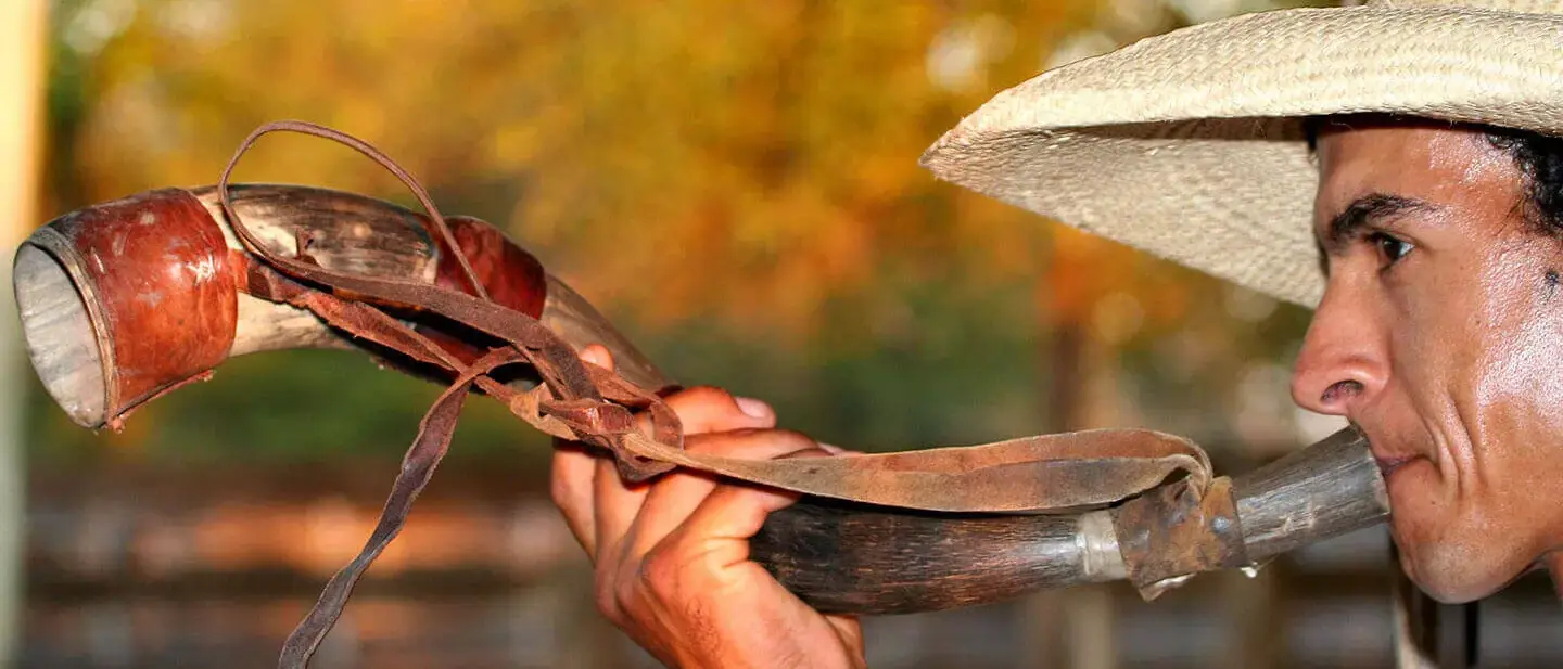 Pantanal Sul - Refúgio Ecológico Caiman