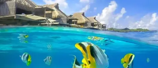 Casamento no Conrad Bora Bora Nui