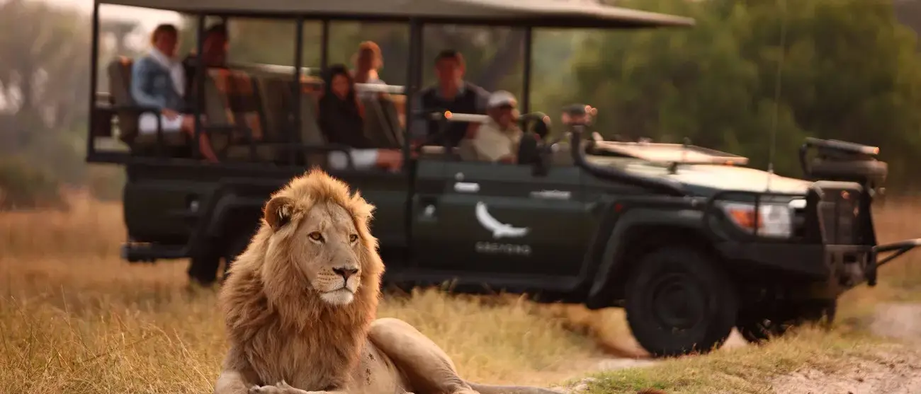Botswana um Safári com Estilo