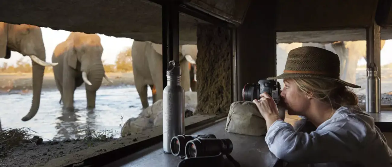 Safári Singita Lodges & Reserves