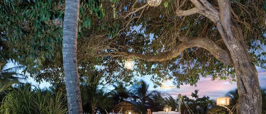 Fortaleza com Jericoacoara