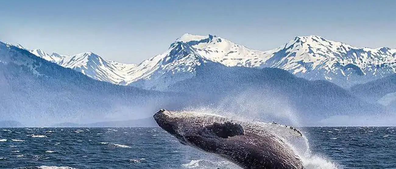 Cruises Costa Oeste Canadense e do Alasca