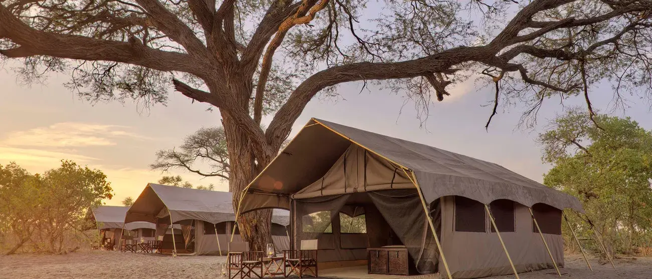 Botswana um Safári com Estilo