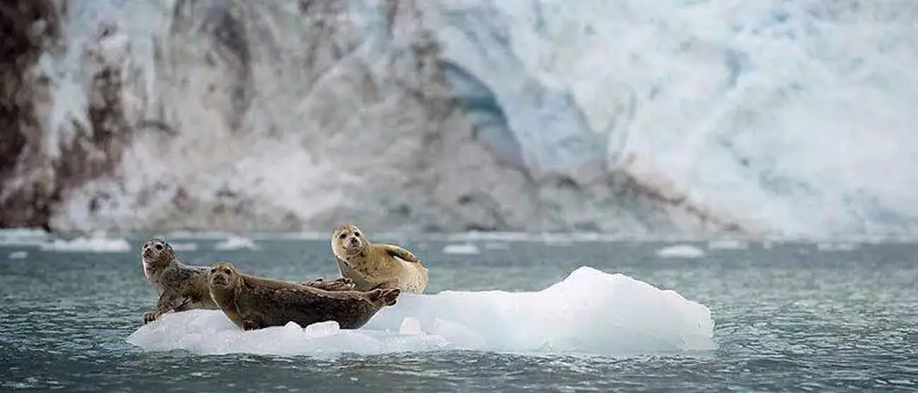 Cruises Costa Oeste Canadense e do Alasca
