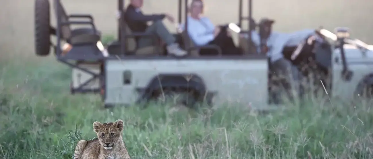 Safári Singita Lodges & Reserves
