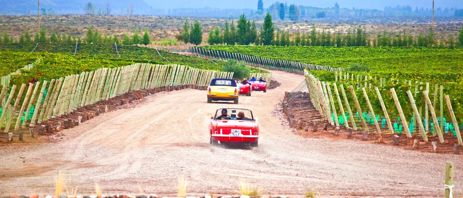 Mendoza Vale de Uco