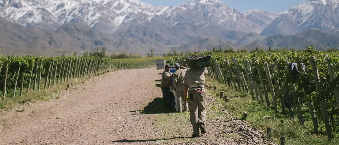 Mendoza Vale de Uco