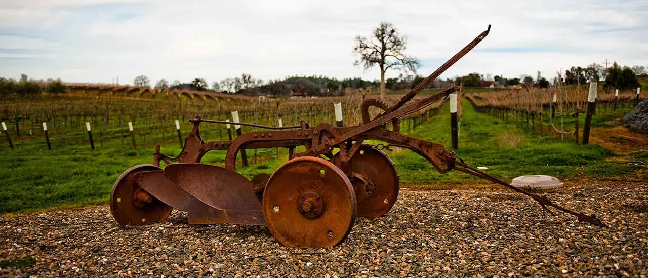 California na Rota dos vinhos