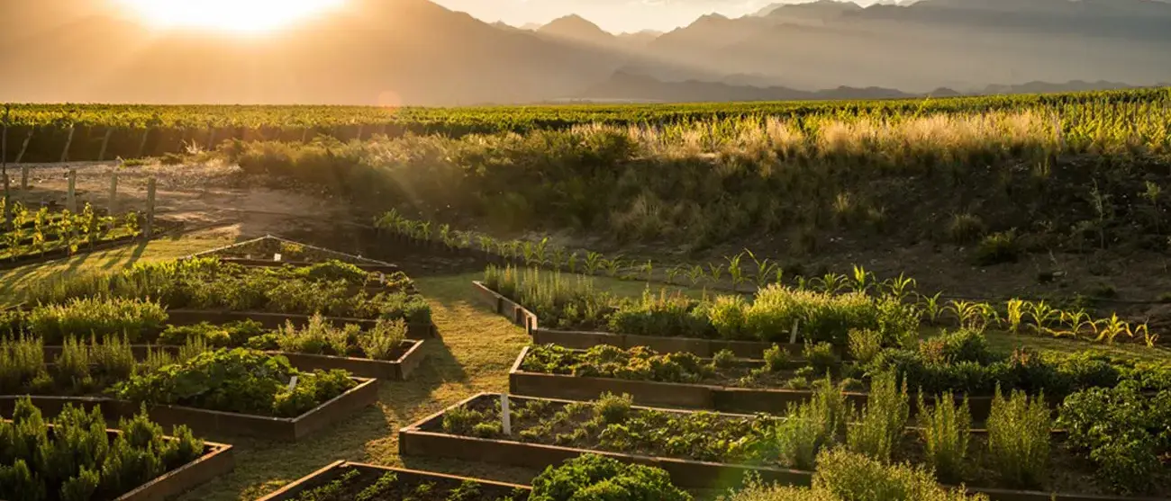 Mendoza Vale de Uco