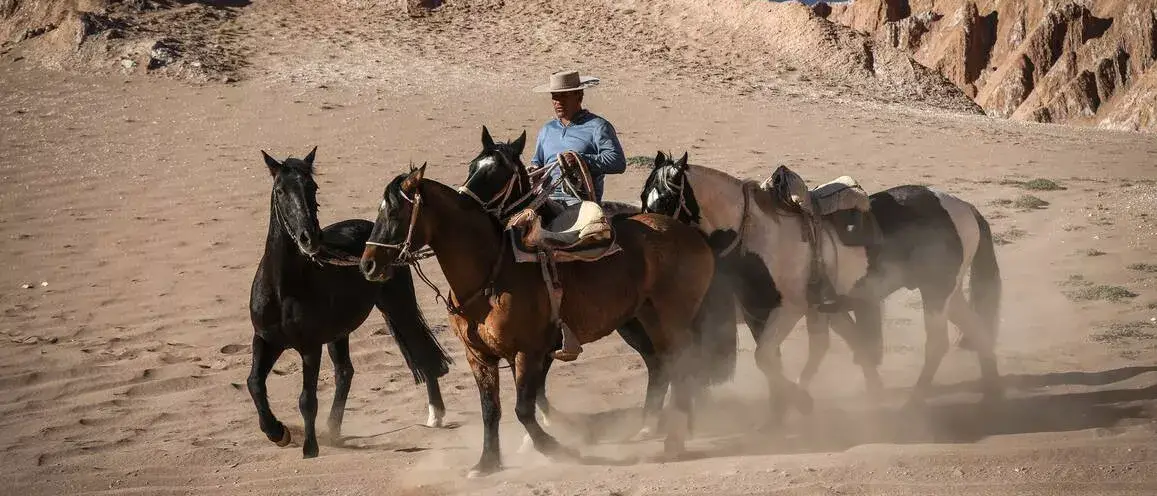 Awasi Atacama Relais & Chateuax