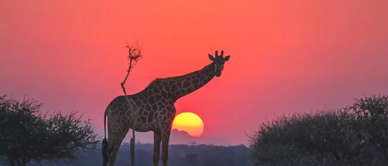 África do Sul Luxury
