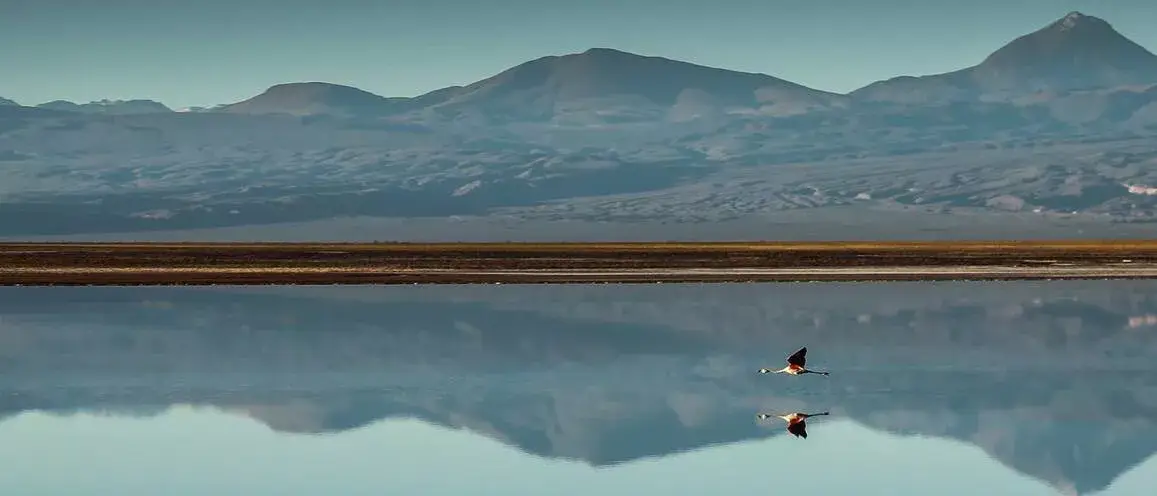 Awasi Atacama Relais & Chateuax