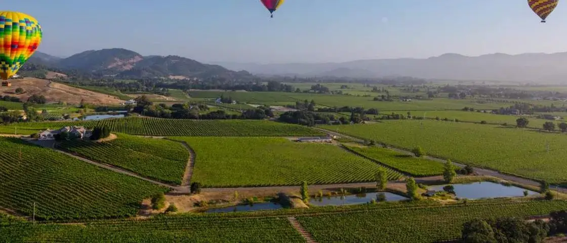 California na Rota dos vinhos
