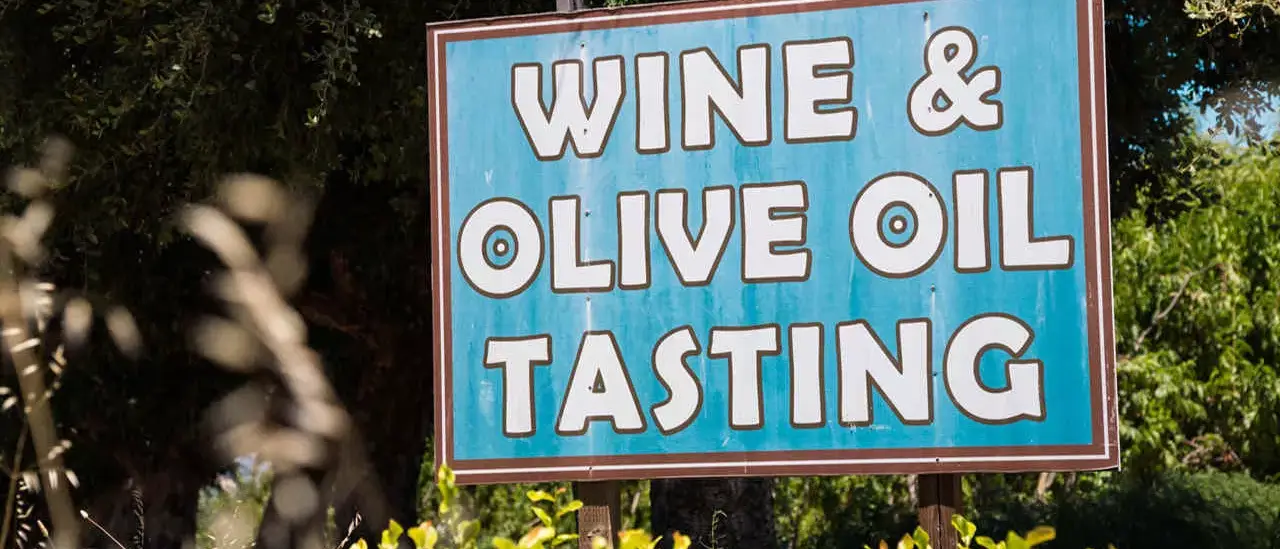 California na Rota dos vinhos