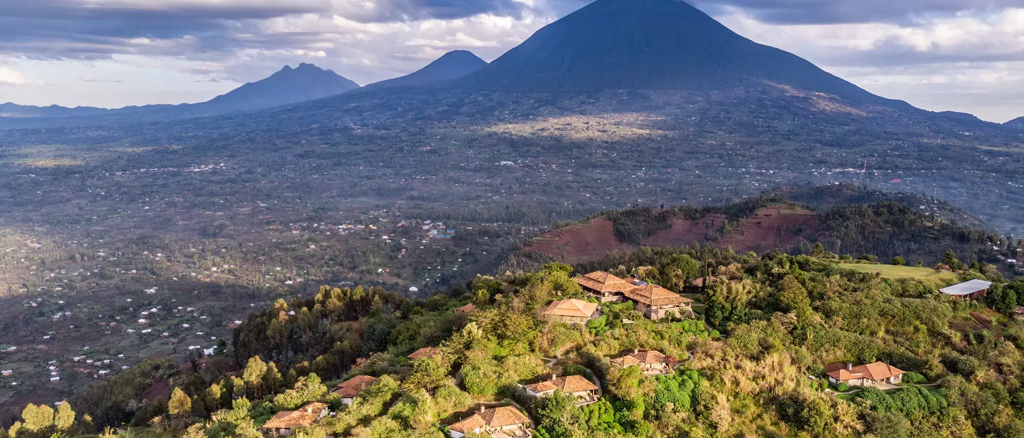 Gorilas em Ruanda