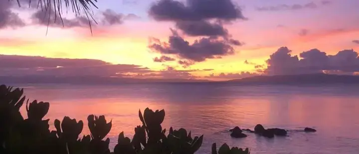 Casamento no Taveuni Palms Luxury Resort