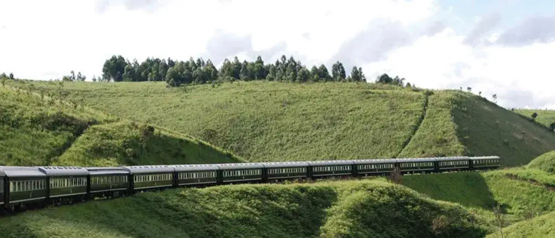 África do Sul em Trem de Luxo e Safáris