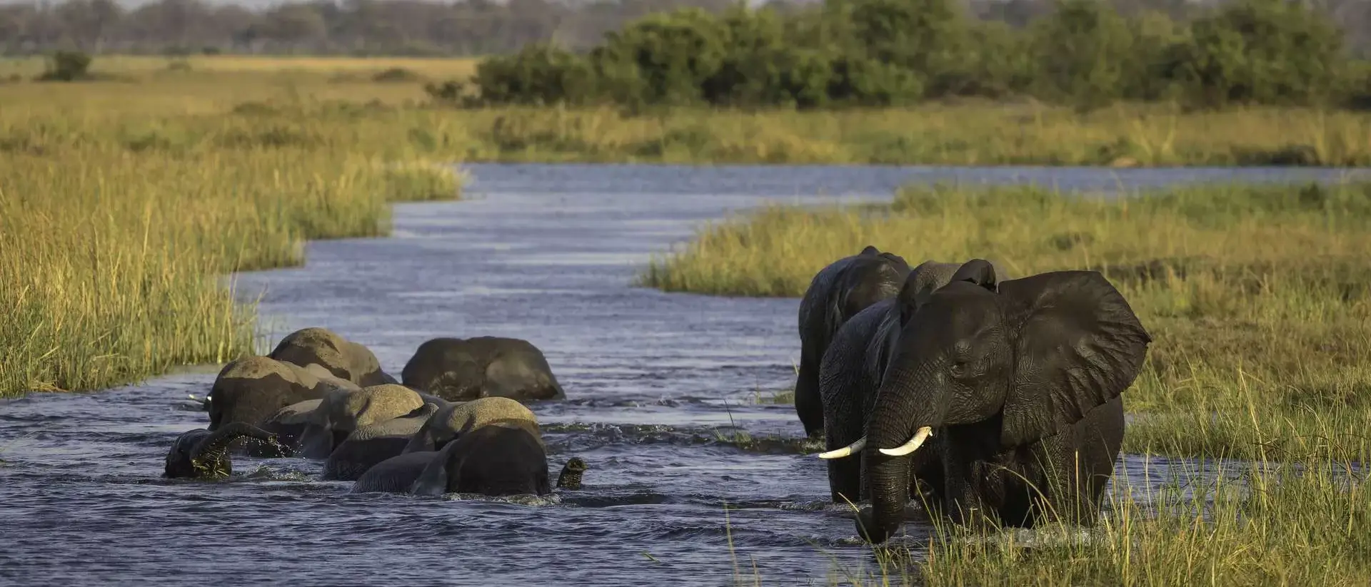 Botswana By Wilderness Safaris