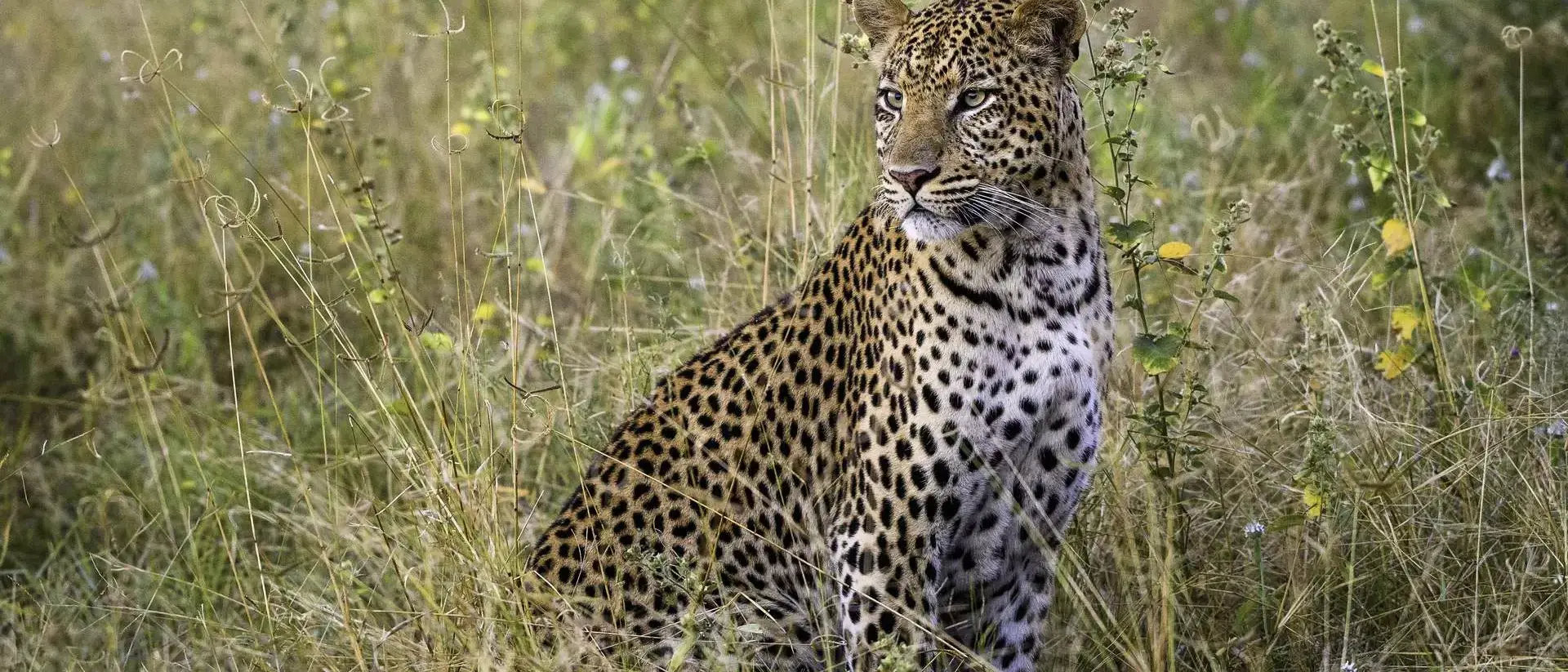 Botswana By Wilderness Safaris