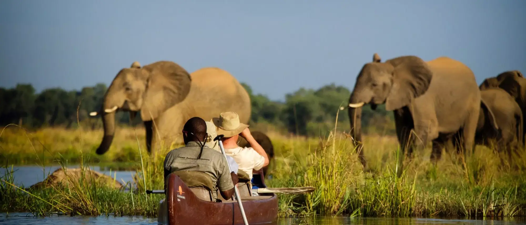 Safári na Zâmbia e Victoria Falls