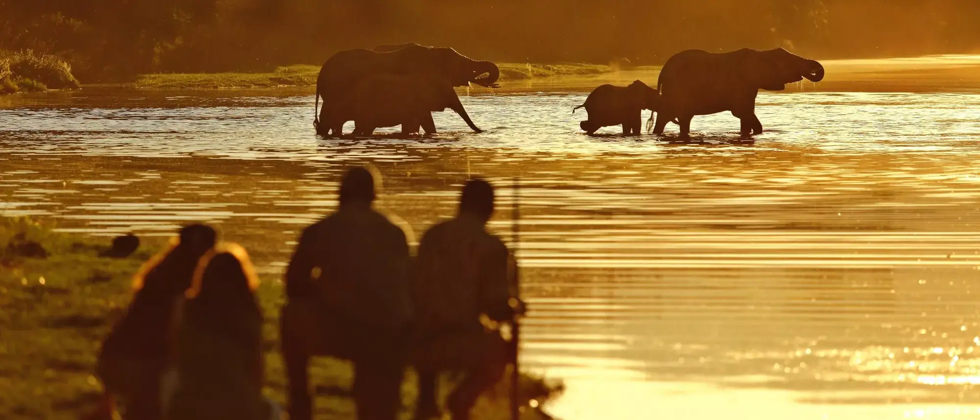 Safári na Zâmbia e Victoria Falls