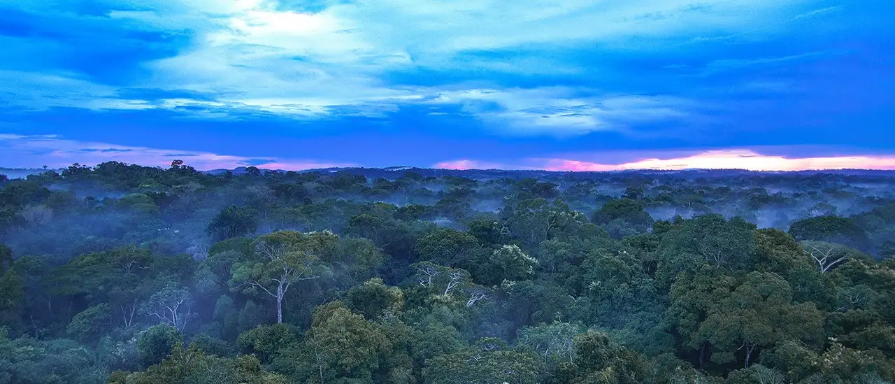 Conhecendo as belezas da Amazônia em Família