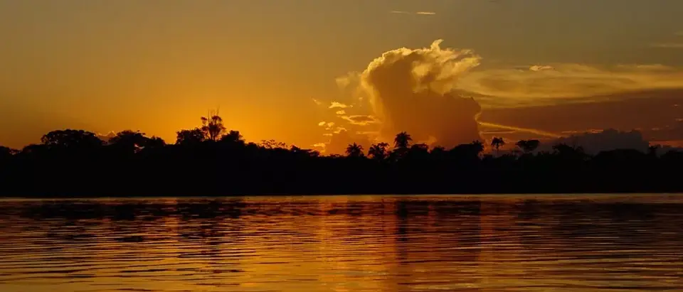 Conhecendo as belezas da Amazônia em Família