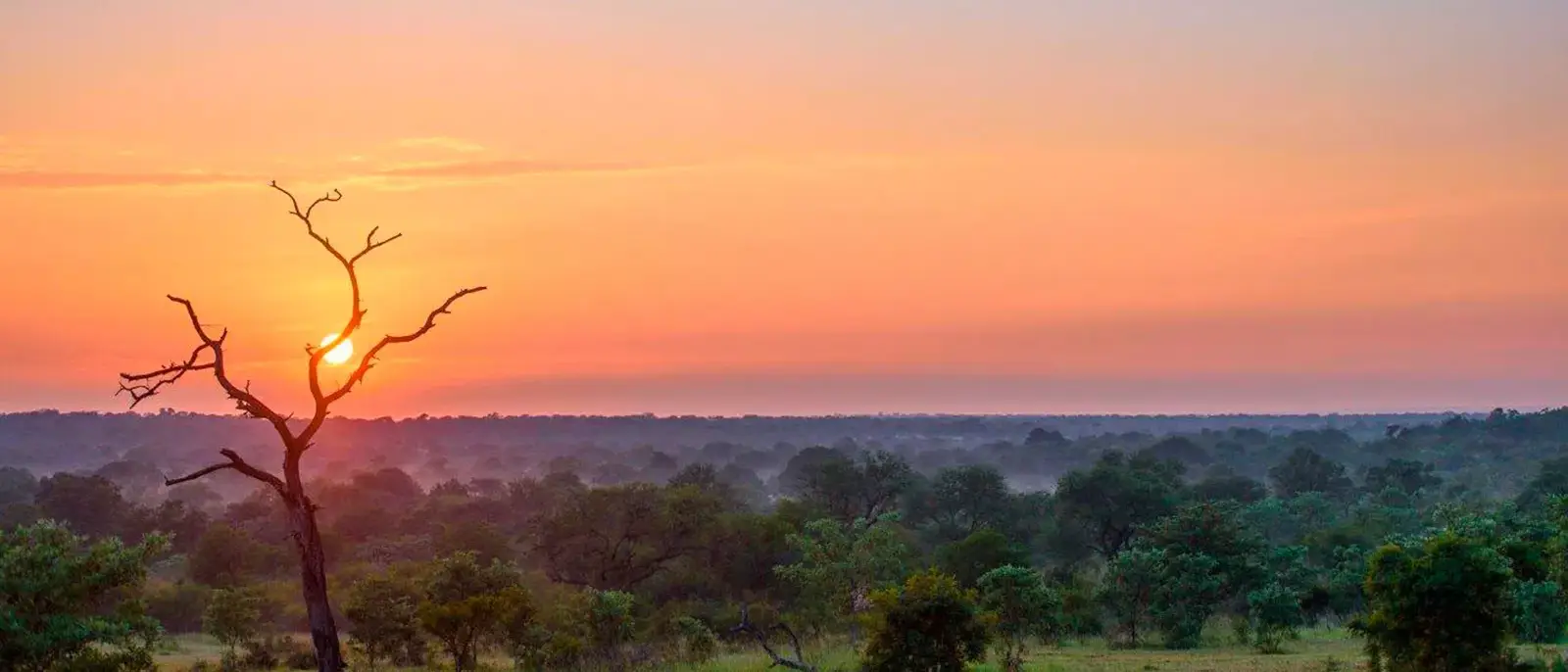 África do Sul com Crianças