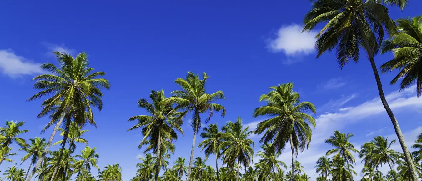 Porto de Galinhas