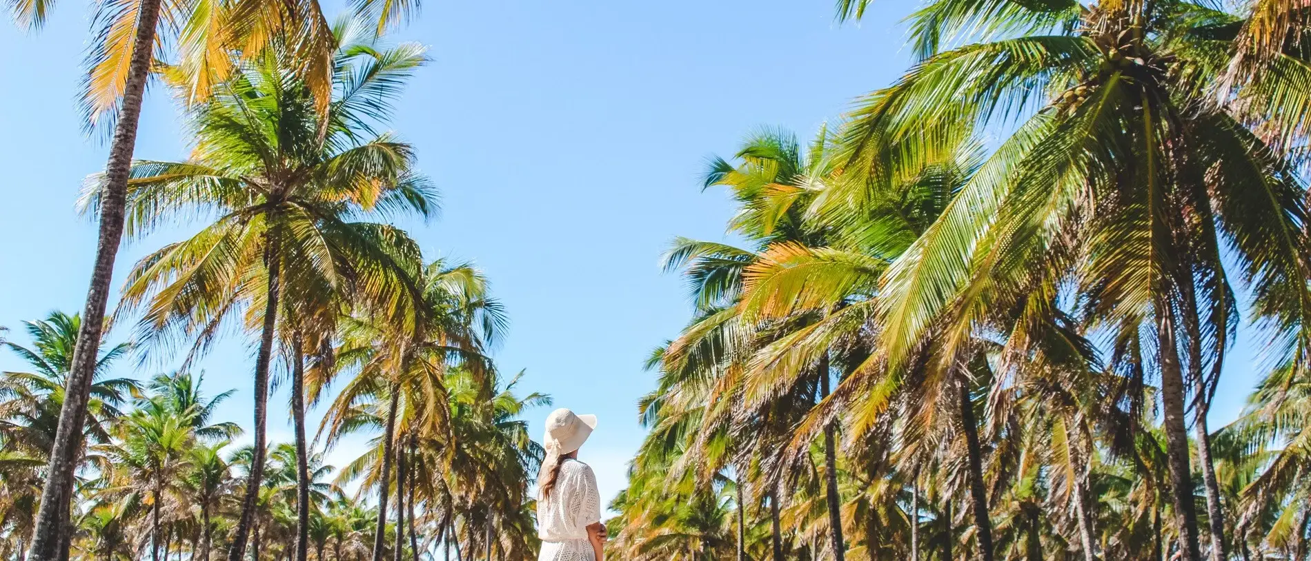 Porto de Galinhas