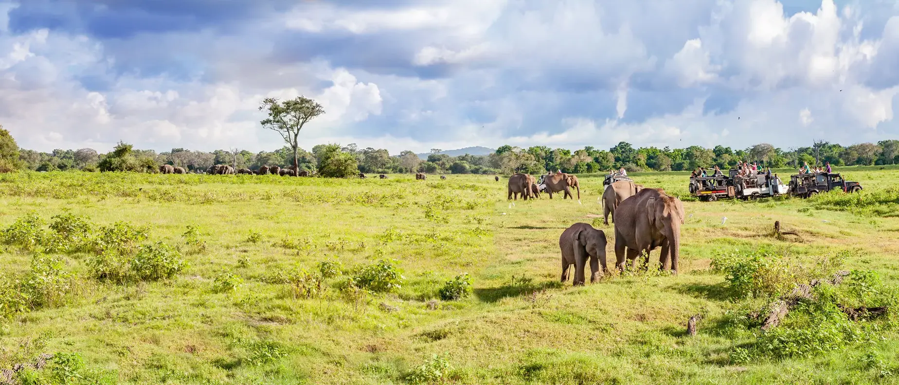 Ilhas Mauricio e África do Sul