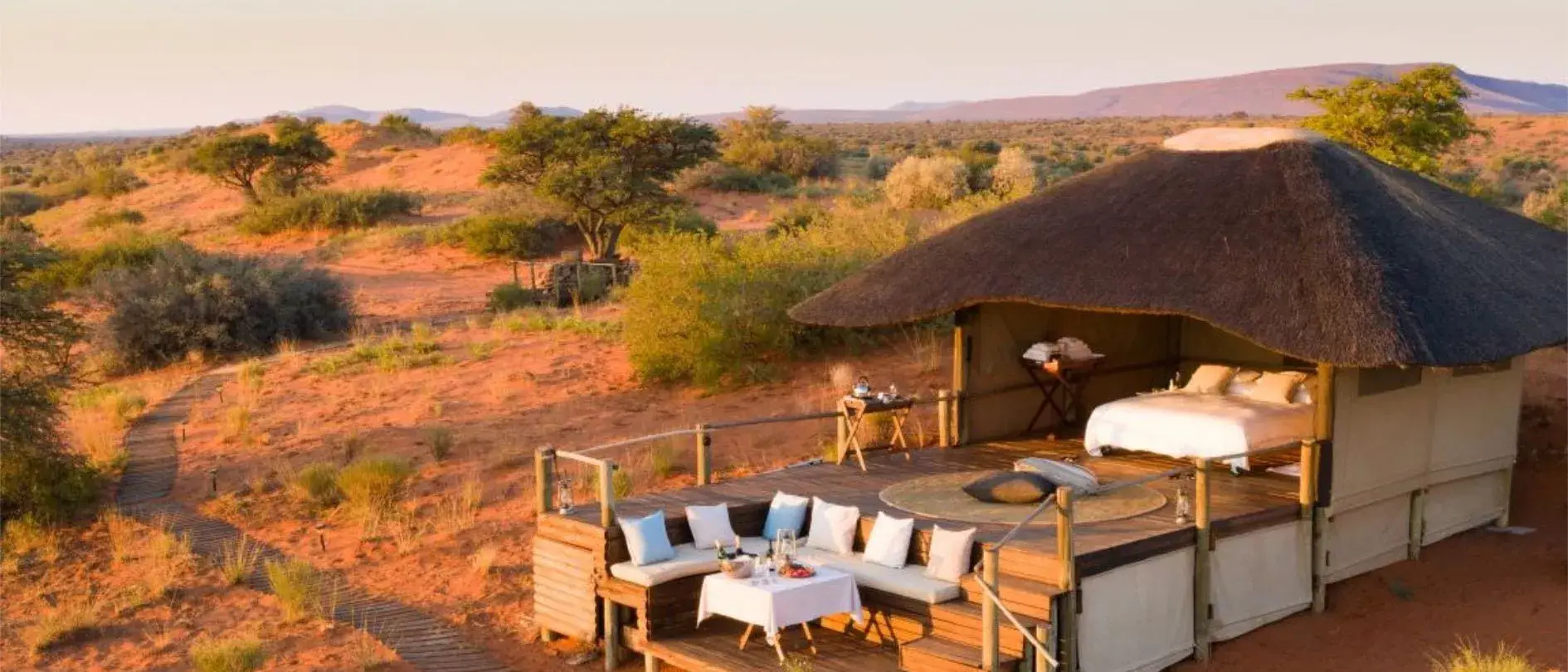 Safári África do Sul e Kalahari