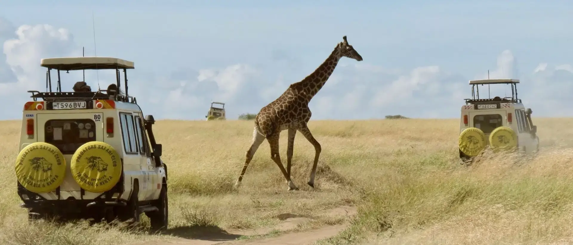 Tanzânia e Zanzibar com Safári