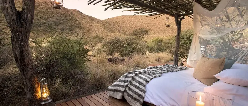 Safári África do Sul e Kalahari