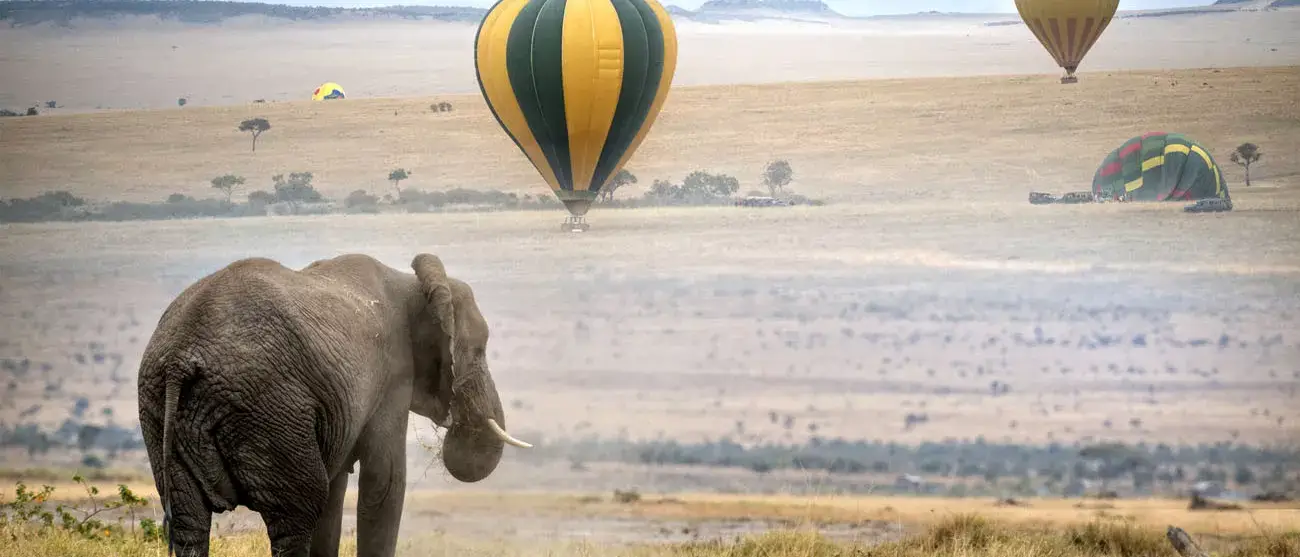 Quênia, África do Sul e Ilhas Maurício