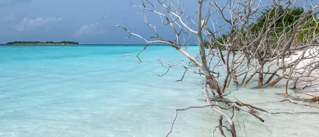 You & Me by Cocoon Maldives
