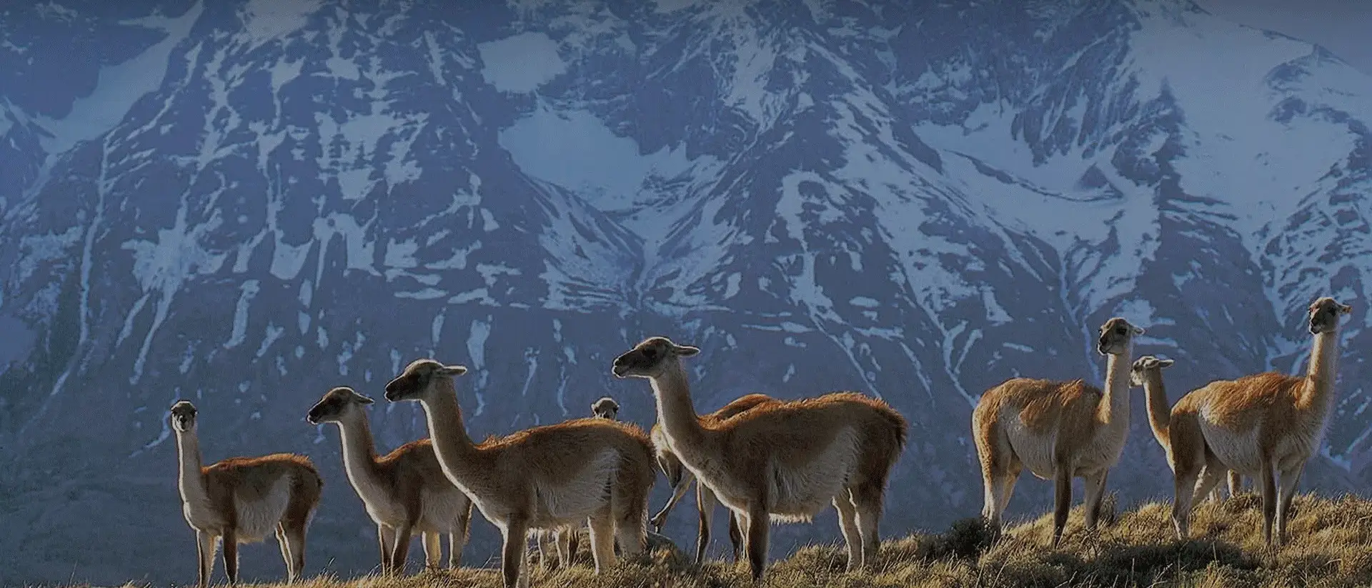 Explora Patagônia