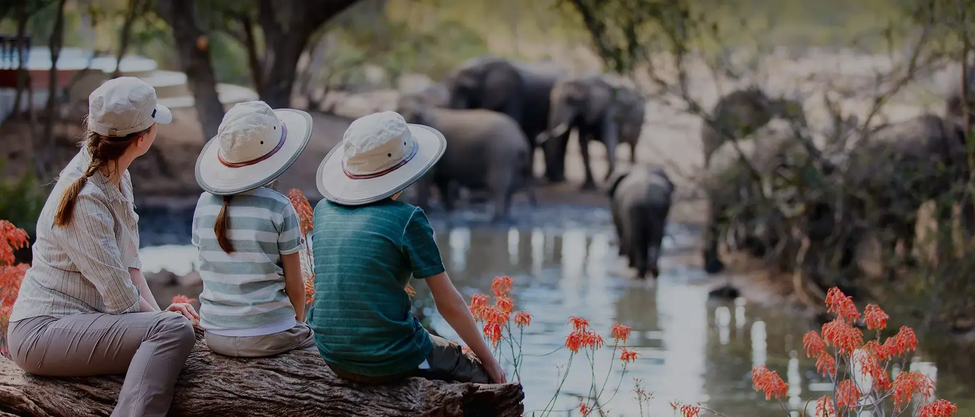 Quênia & Tanzânia Safari para Famílias