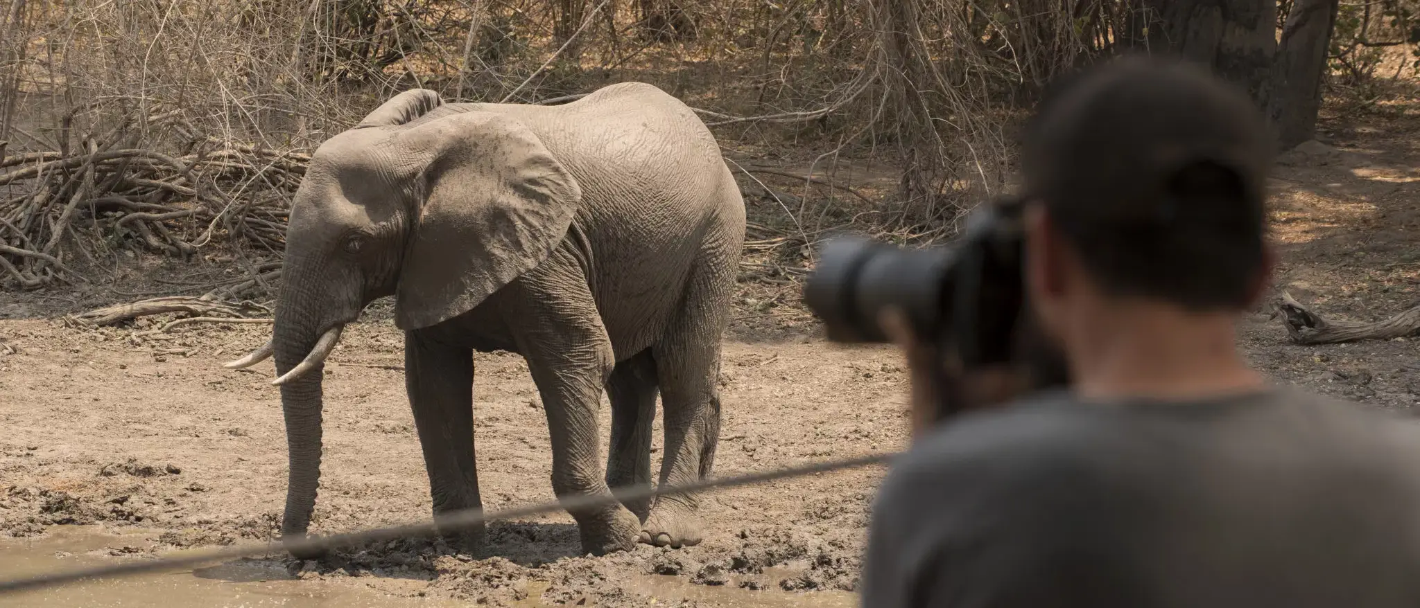 Victoria Falls e Wildlife Safari