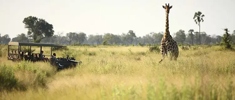 Viagem dos Sonhos África Austral