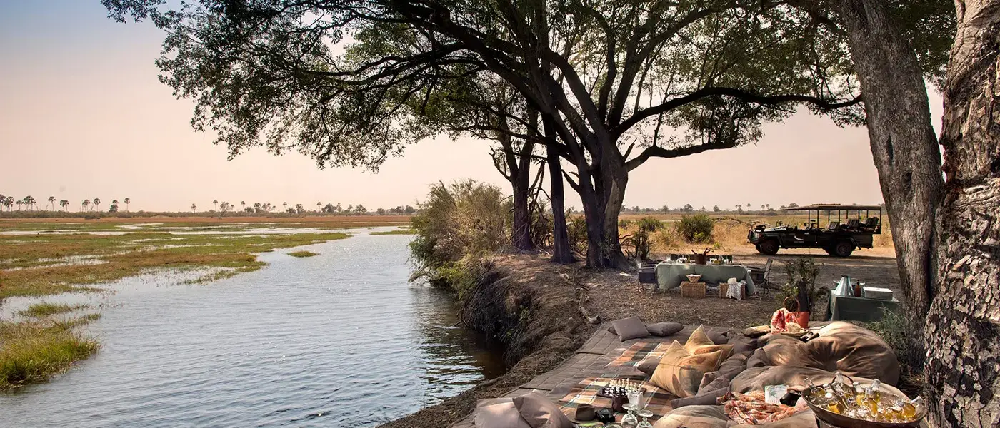 Safari na Extraordinária Botswana by andBeyond