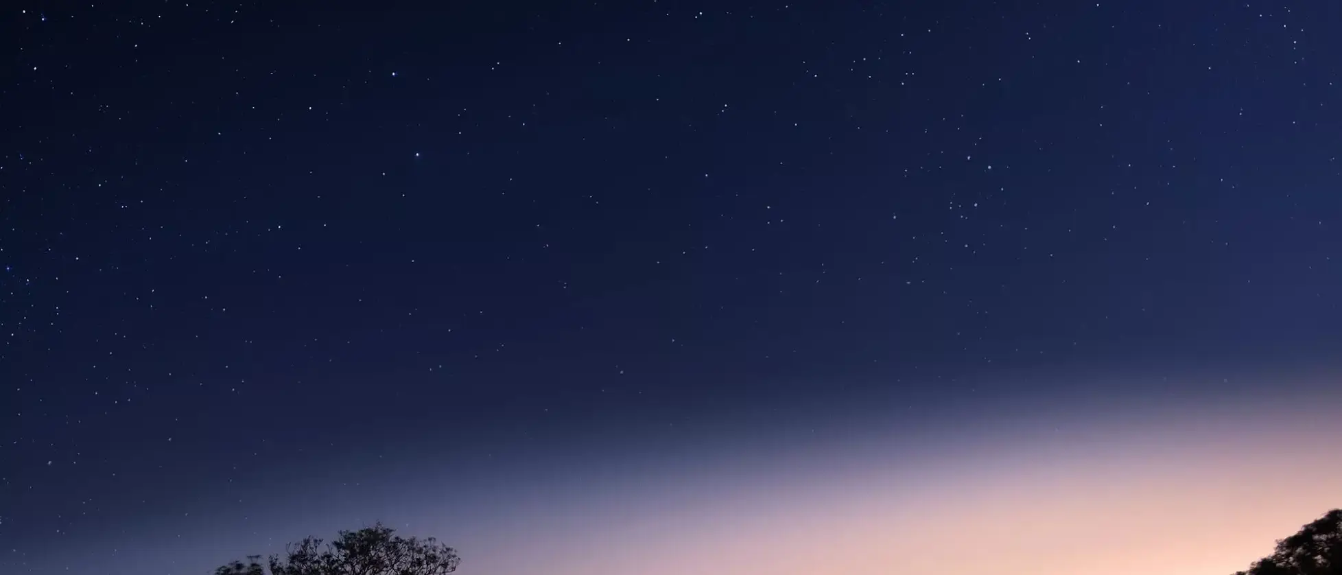 Vinícolas, Baleias e Vida Selvagem - Luxury