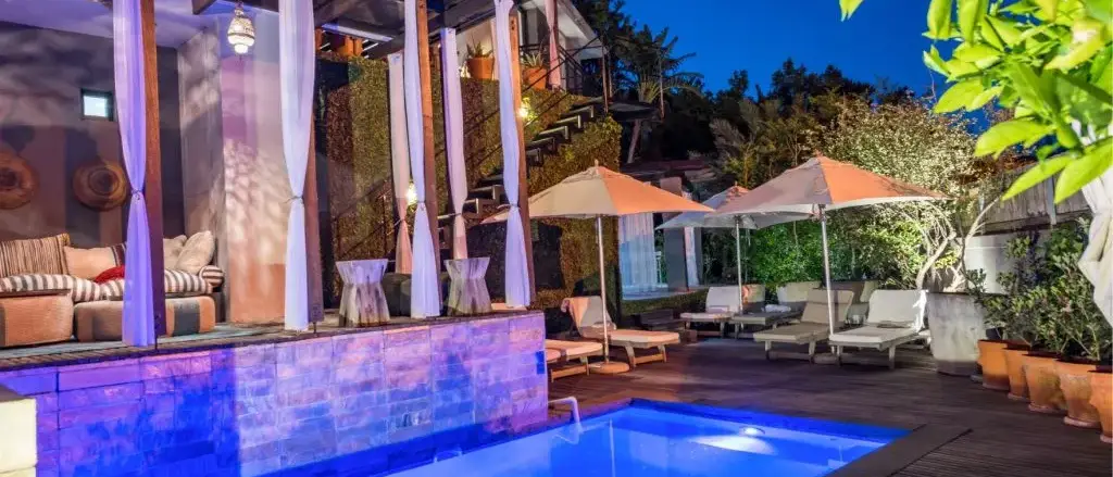 Vinícolas, Baleias e Vida Selvagem - Luxury